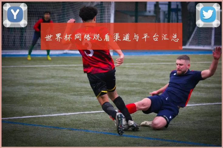 世界杯网络观看渠道与平台汇总