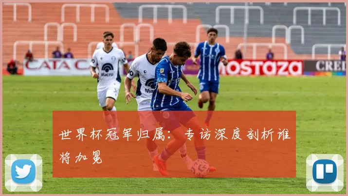 世界杯冠军归属：专访深度剖析谁将加冕