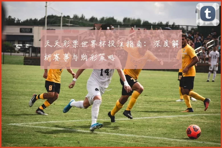 天天彩票世界杯投注指南:深度解析赛事与购彩策略