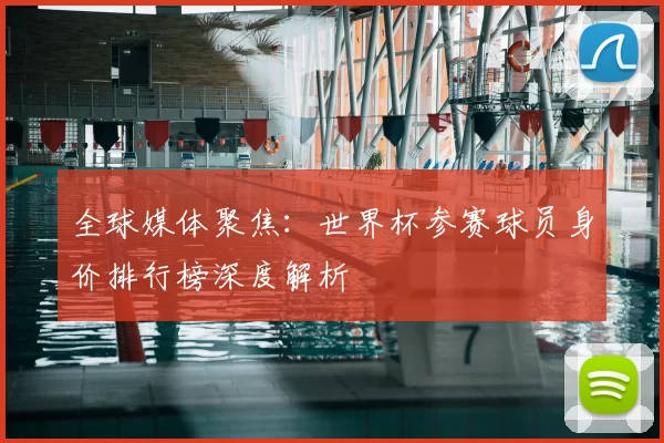 全球媒体聚焦：世界杯参赛球员身价排行榜深度解析