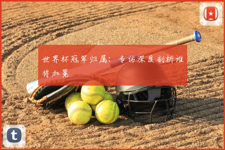 世界杯冠军归属：专访深度剖析谁将加冕