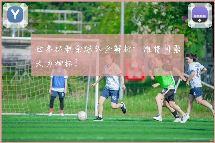 世界杯剩余球队全解析：谁将问鼎大力神杯？