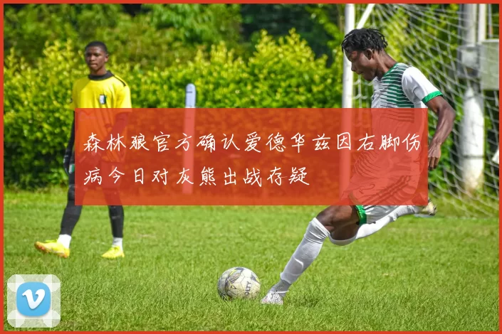 森林狼官方确认爱德华兹因右脚伤病今日对灰熊出战存疑