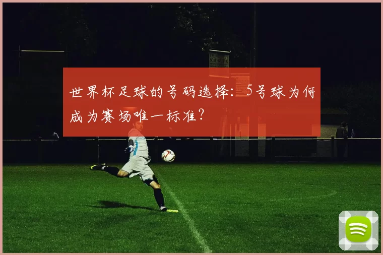 世界杯足球的号码选择：5号球为何成为赛场唯一标准？