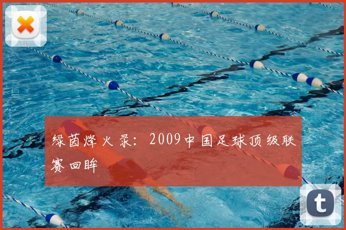 绿茵烽火录：2009中国足球顶级联赛回眸