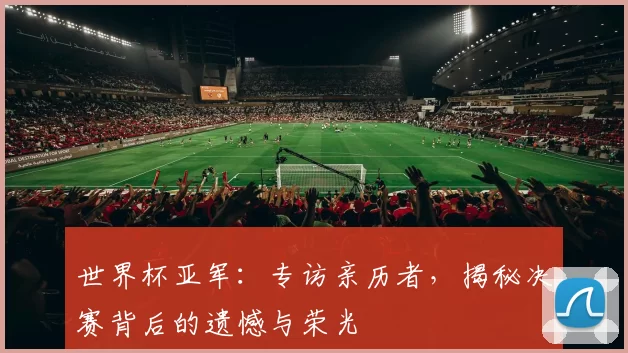 世界杯亚军：专访亲历者，揭秘决赛背后的遗憾与荣光