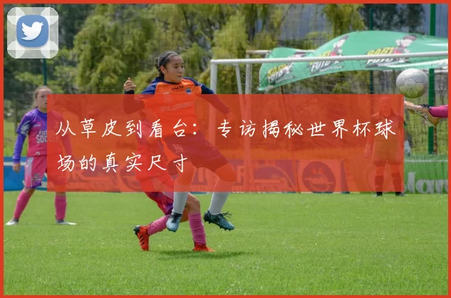从草皮到看台:专访揭秘世界杯球场的真实尺寸