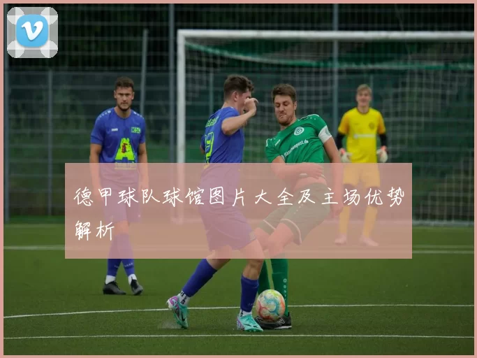 德甲球队球馆图片大全及主场优势解析