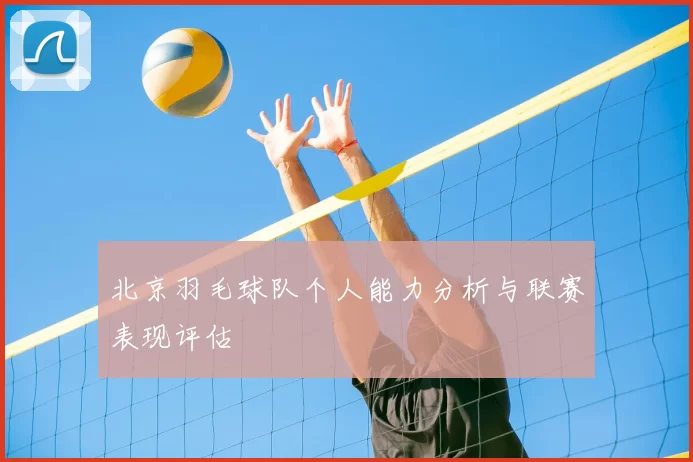 北京羽毛球队个人能力分析与联赛表现评估