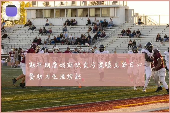 勒布朗詹姆斯饮食方案曝光每日六餐助力生涯续航