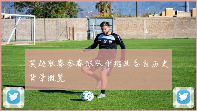 英超联赛参赛球队介绍及各自历史背景概览