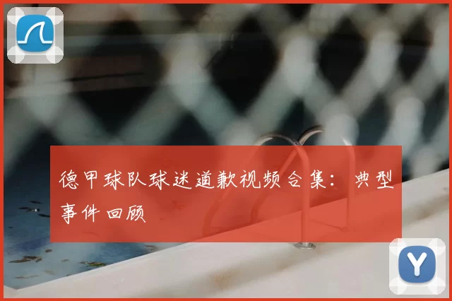 德甲球队球迷道歉视频合集：典型事件回顾