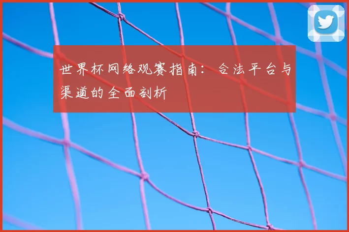 世界杯网络观赛指南:合法平台与渠道的全面剖析