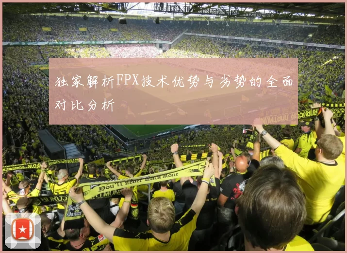 独家解析FPX技术优势与劣势的全面对比分析
