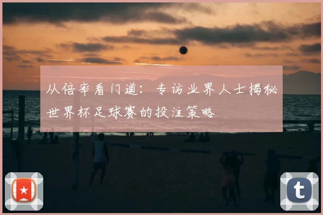从倍率看门道：专访业界人士揭秘世界杯足球赛的投注策略