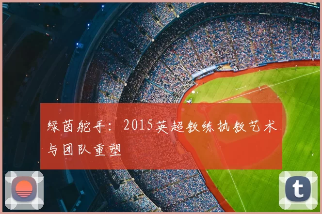 绿茵舵手：2015英超教练执教艺术与团队重塑