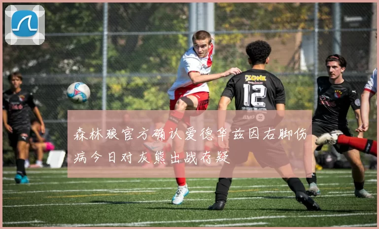 森林狼官方确认爱德华兹因右脚伤病今日对灰熊出战存疑