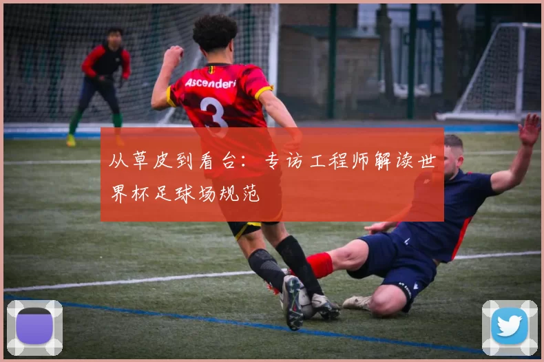 从草皮到看台：专访工程师解读世界杯足球场规范