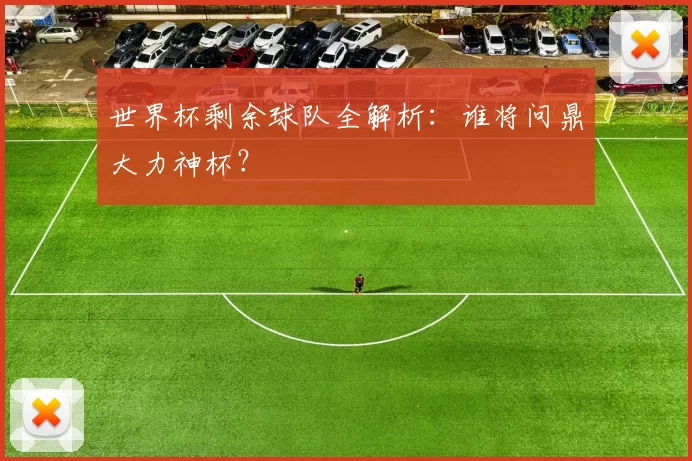 世界杯剩余球队全解析：谁将问鼎大力神杯？