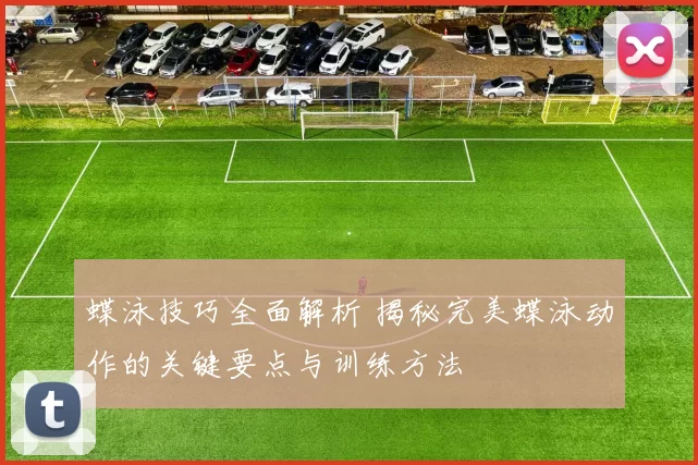 蝶泳技巧全面解析 揭秘完美蝶泳动作的关键要点与训练方法