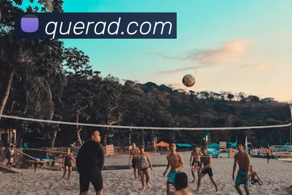 App Interface Preview