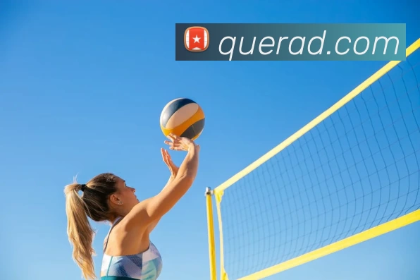 华体会体育APP 封面图